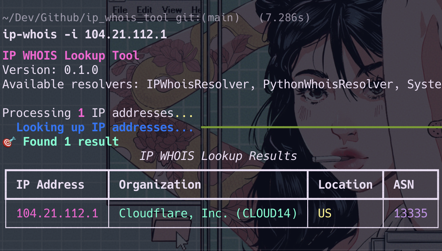 IP WHOIS Tool Preview